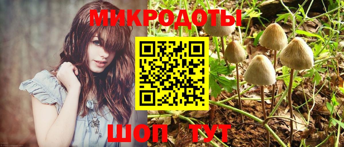 Псилоцибиновые грибы MAGIC MUSHROOMS Сергиев Посад