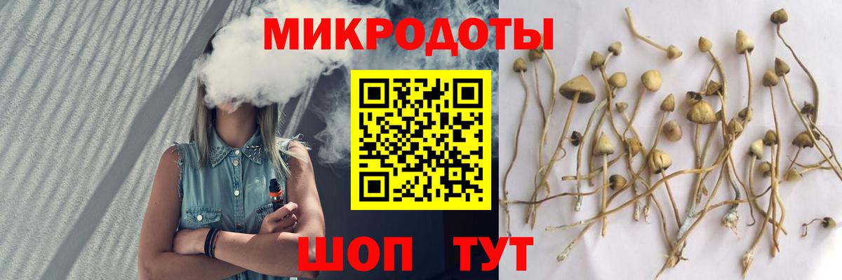 Псилоцибиновые грибы Psilocybine cubensis  как найти   Сергиев Посад  Вход с VPN 